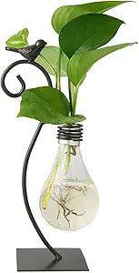 Creative Light - Bulb Shaped Hydroponic Vase: Iron Bird Decoration, Lighting Up Home Greenery